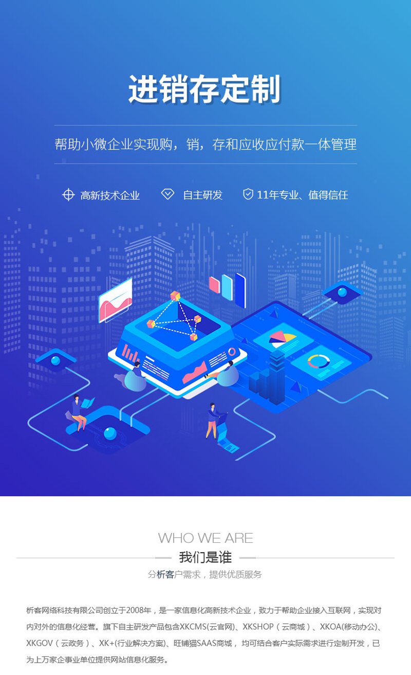 进销存系统开发：企业成长的新引擎